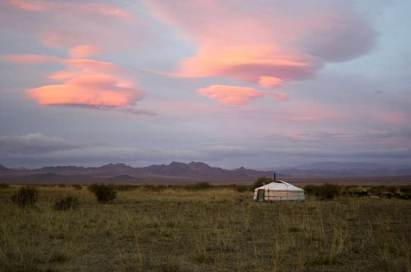 Mongolian Gazelle Population Update: Conservation Successes & Challenges