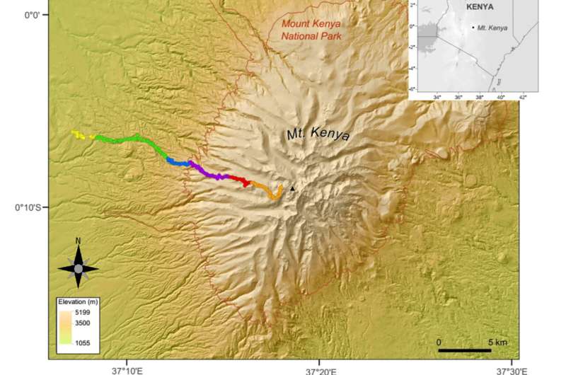 Climate Change & Habitat Loss Threaten Sky Island Mammals