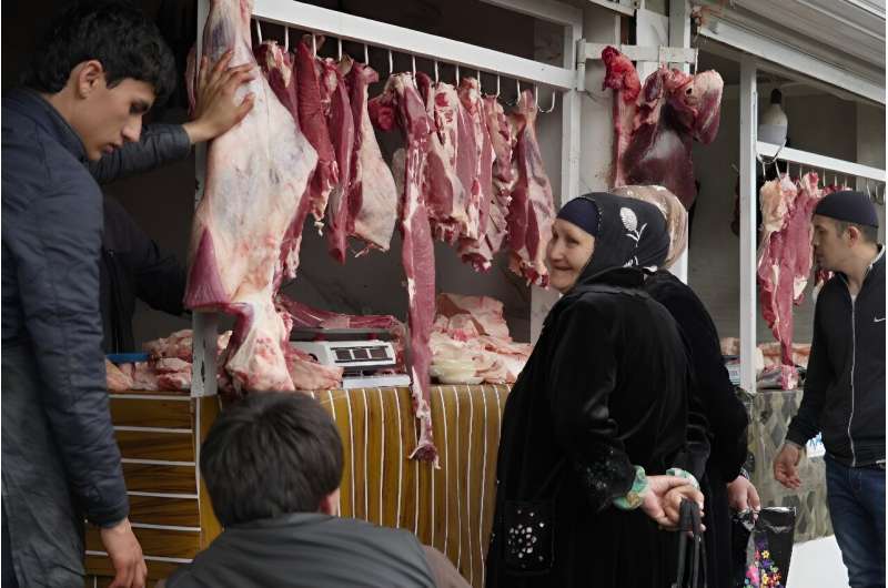 Hissar Sheep: Tajikistan s Climate-Resilient Livestock Solution