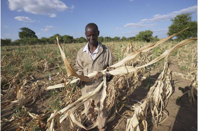 Climate-Smart Agriculture in Africa: Combining Tradition & Innovation