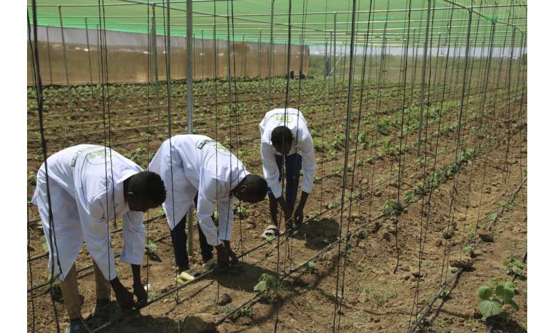 Climate-Smart Agriculture in Africa: Combining Tradition & Innovation