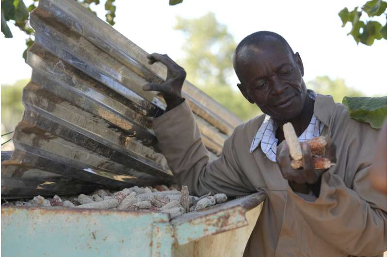 Climate-Smart Agriculture in Africa: Combining Tradition & Innovation