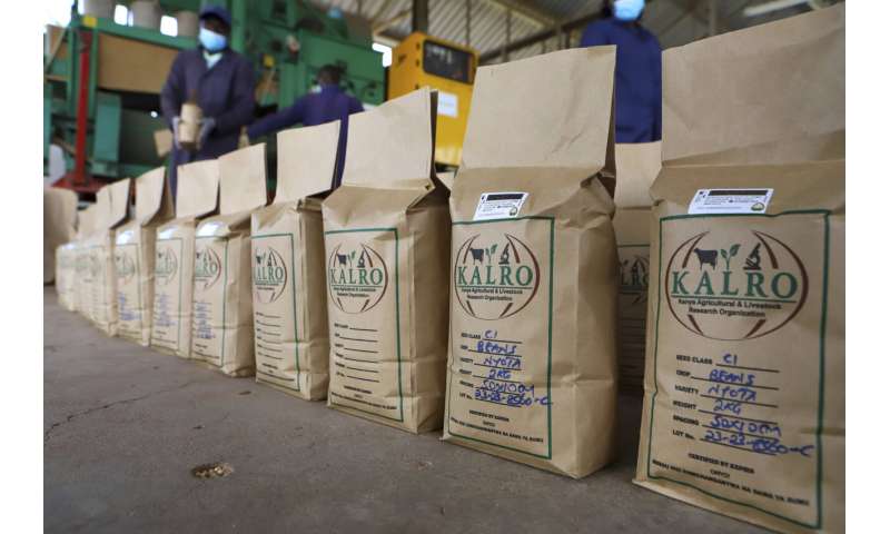 Climate-Smart Agriculture in Africa: Combining Tradition & Innovation