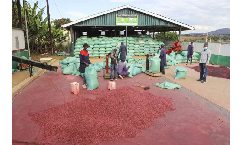 Climate-Smart Agriculture in Africa: Combining Tradition & Innovation