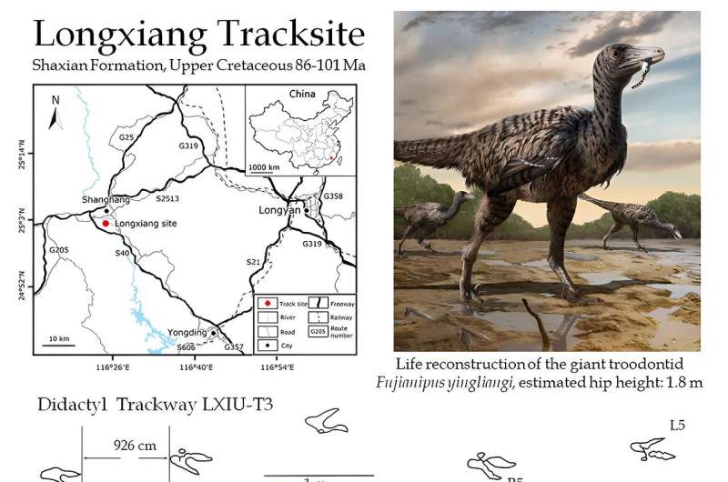 Giant Raptor Footprints Unearthed in China – New Insights into Dinosaur Size