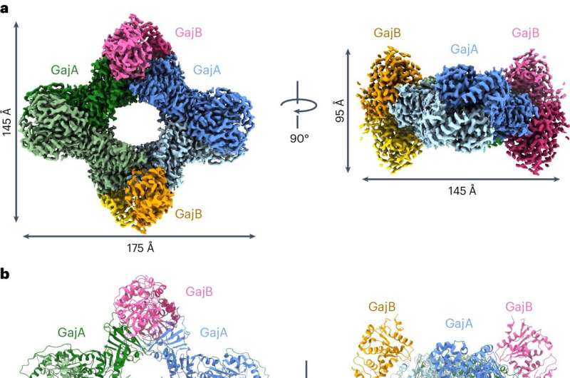 Bacterial Defense Mechanisms: New Insights into Viral Infection Resistance