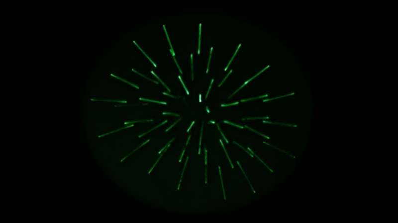 CO2 Levels Significantly Impact Airborne Virus Survival and Transmission