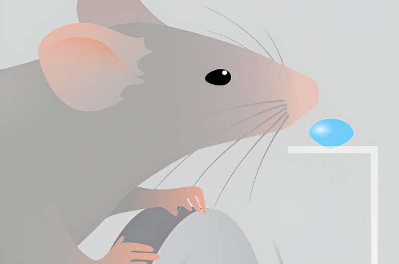 Mice Exhibit Strategic Thinking in Wheel-Running Experiments