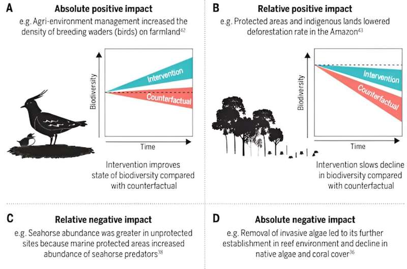 Nature Conservation: New Study Reveals Positive Progress