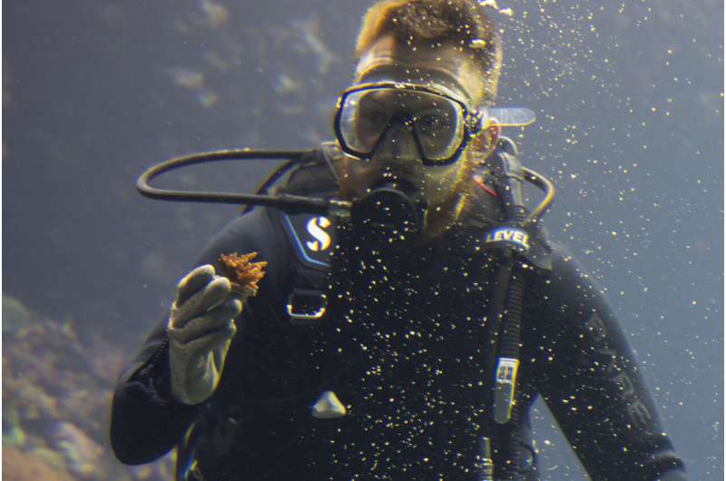 Zoo-Bred Corals Enhance Europe s Largest Reef - A Scientific Breakthrough