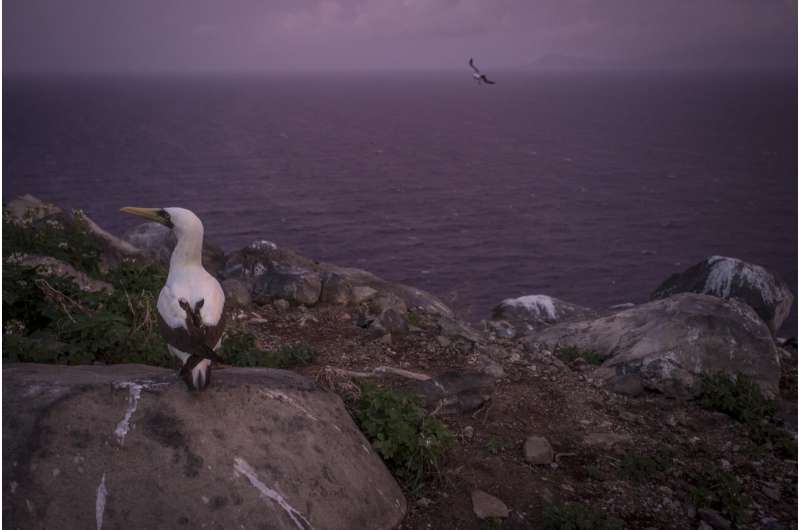 Conservation Works: Study Confirms Effectiveness in Reversing Biodiversity Loss