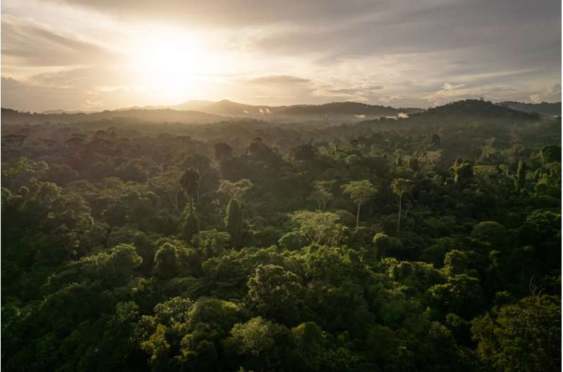 Conservation Works: Study Confirms Effectiveness in Reversing Biodiversity Loss