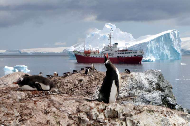 Emperor Penguin Populations Threatened by Record-Low Sea Ice - Study