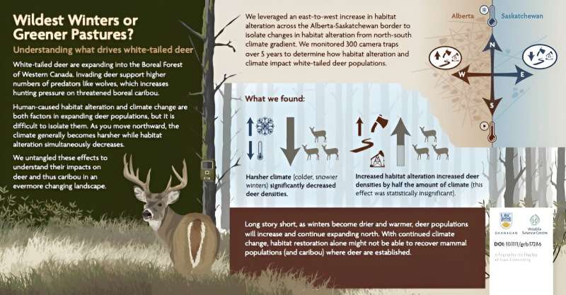 Deer Expansion Threatens Caribou: Understanding the Ecological Shift