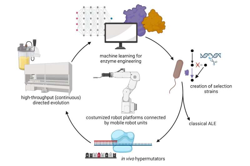 Accelerating Sustainable Biotechnology with AI-Powered Biocatalyst Development