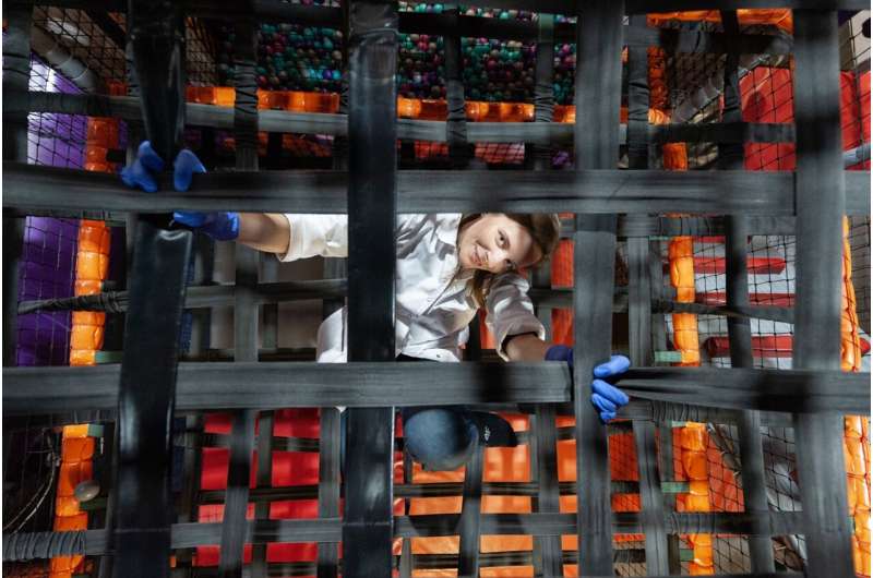 Breakthrough in Vascular Tissue Engineering: New Insights into Blood Vessel Formation