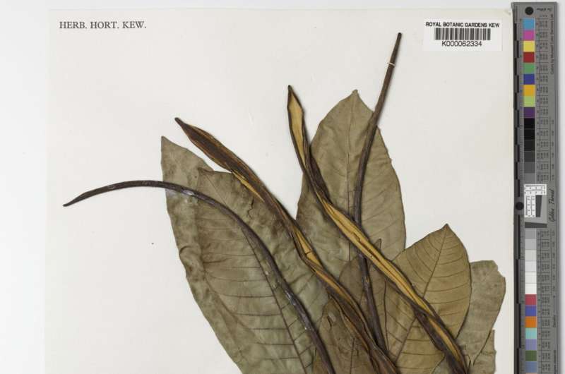 Global Plant DNA Study Reveals New Insights into Plant Evolution