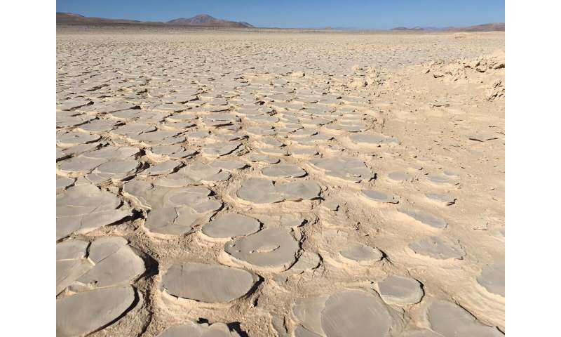 Microbial Life Found Deep Beneath Atacama Desert – Implications for Extraterrestrial Life