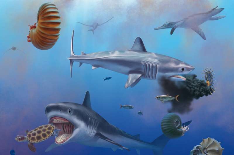 Dinosaur-Era Shark Fossils Discovered in Mexico: A Remarkable Find