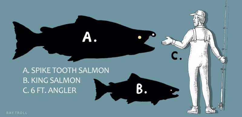 Ancient Salmon with Sabre-Tooth Teeth Unearthed: A New Species Revealed