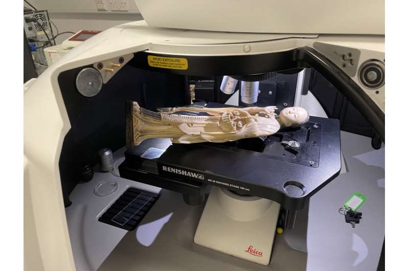 Laser Technology Revolutionizes Ivory Trade Enforcement