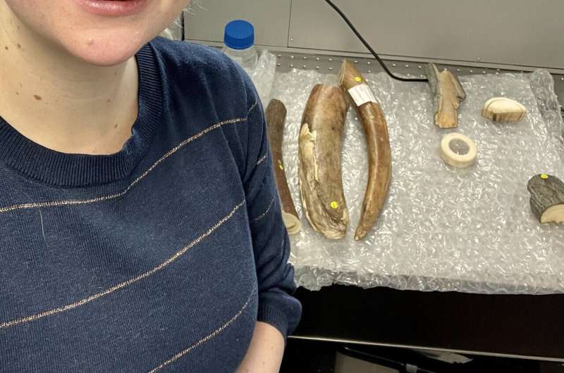 Laser Technology Revolutionizes Ivory Trade Enforcement