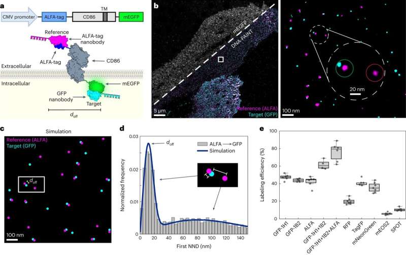 New Super-Resolution Microscopy Method for Ultra-Precise Biomarker Analysis