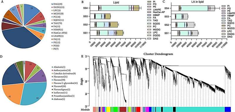 Safflower Genomics: Lipid, Flavonoid & Transcriptome Analysis