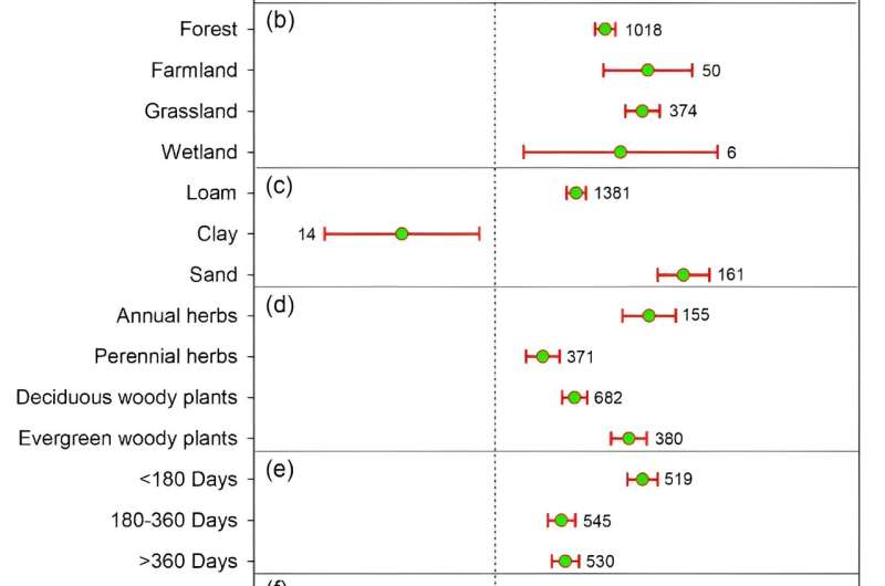 How Leaf Size Influences Soil Fauna and Litter Decomposition