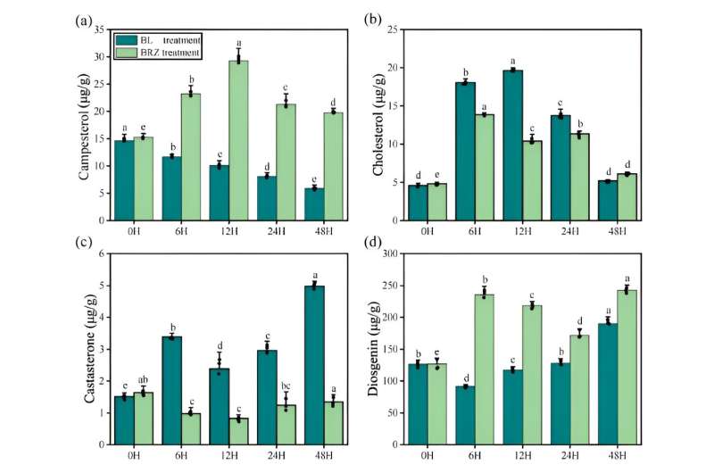 Diosgenin and Brassinosteroids in *Dioscorea zingiberensis*: A Metabolomic Study