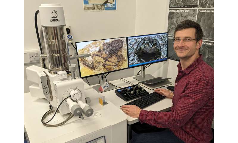 Ancient Frog Skin Reveals Secrets to Fossil Preservation | UCC