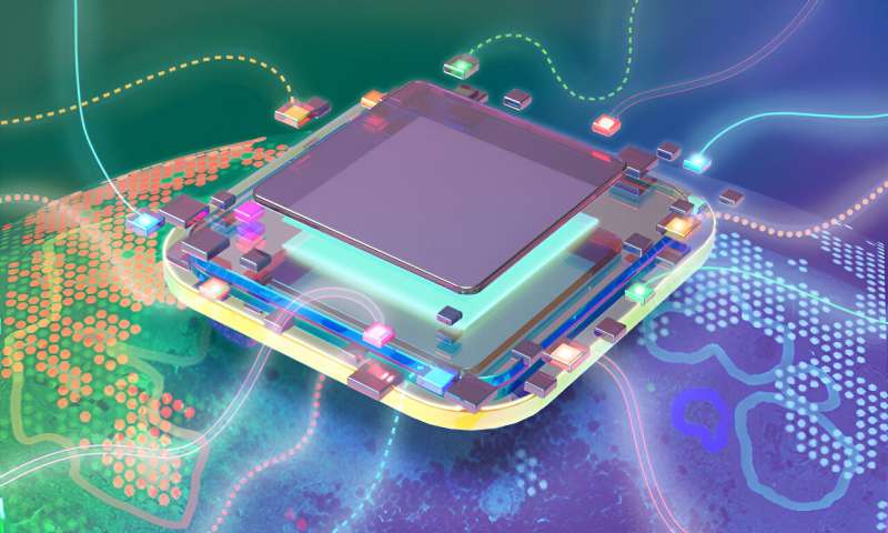 Spatial Biology Framework: Integrating Omics Data for Enhanced Research