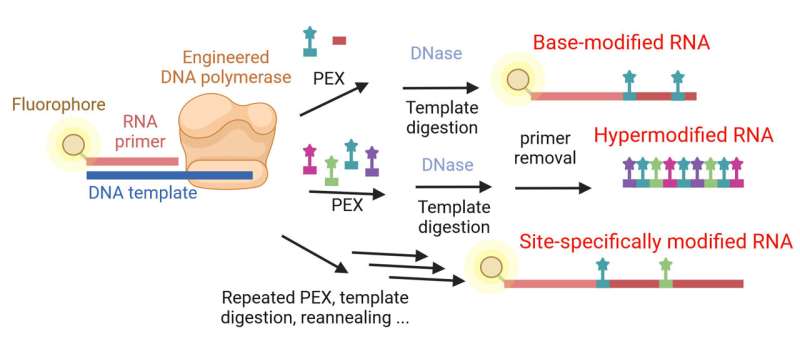 Enzymatic Synthesis of RNA Therapeutics: A Novel Polymerase Method