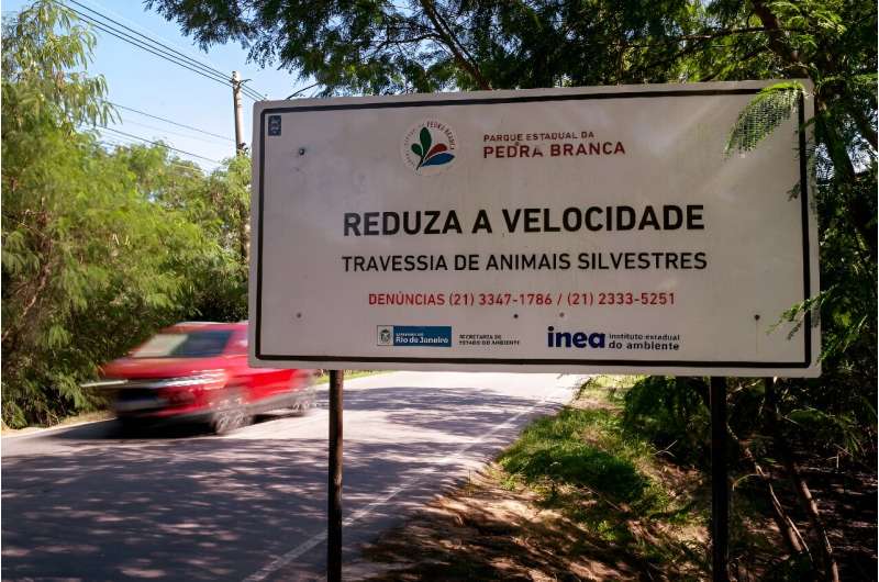 AI to Protect Wildlife in Brazil: Reducing Roadkill