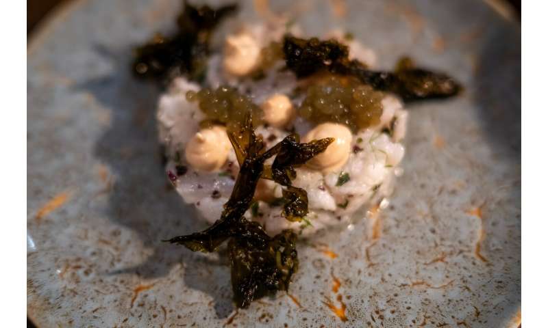 Norwegian Seaweed: A Culinary Revolution in Europe