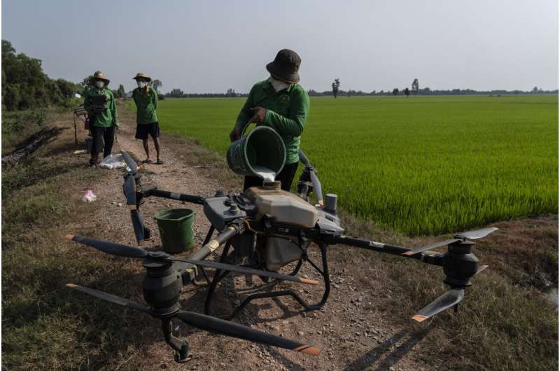 Vietnam Farmers Cut Methane Emissions with Sustainable Rice Farming