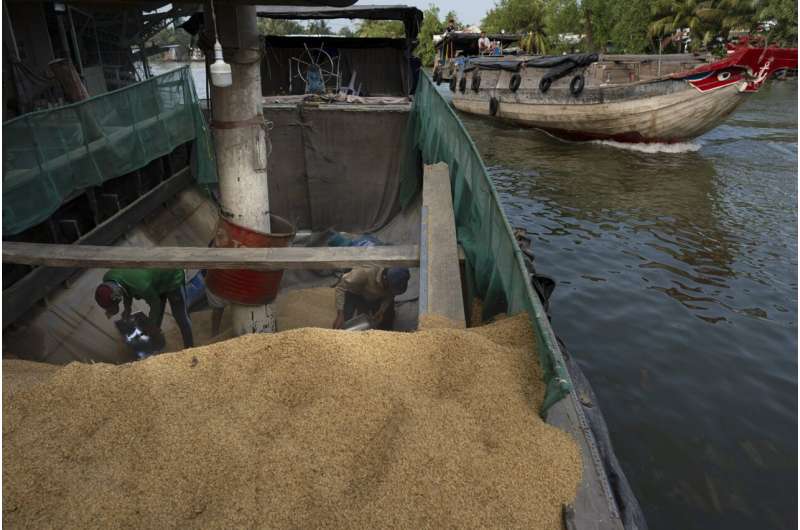 Vietnam Farmers Cut Methane Emissions with Sustainable Rice Farming