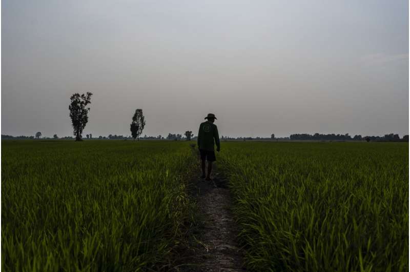 Vietnam Farmers Cut Methane Emissions with Sustainable Rice Farming