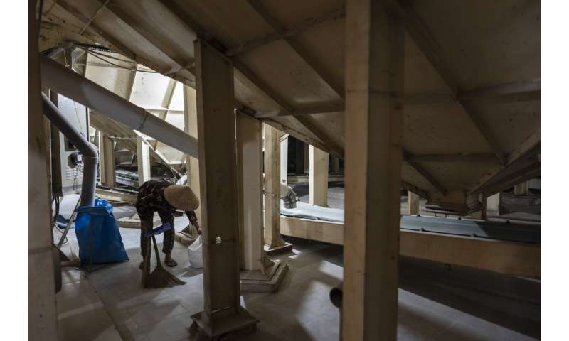 Vietnam Farmers Cut Methane Emissions with Sustainable Rice Farming