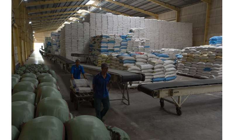 Vietnam Farmers Cut Methane Emissions with Sustainable Rice Farming