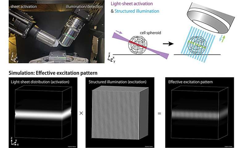 Selective Plane Activation (SPA-SIM) Microscopy for High-Resolution Cell Imaging