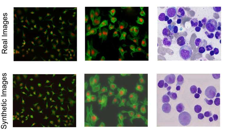 AI-Generated Cell Images Revolutionize Microscopy Analysis