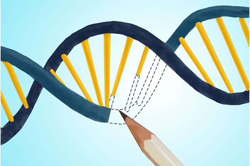 Boosting Genome Editing Efficiency: A New Prime Editor
