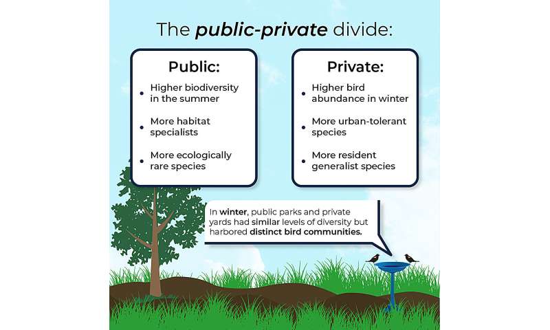 How Backyards and Urban Parks Support Bird Diversity - Research Findings