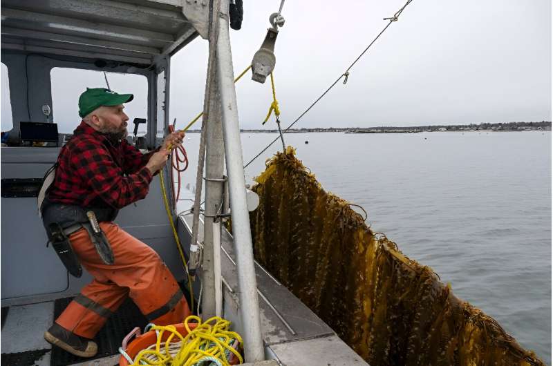 GreenWave: Pioneering US Seaweed Farming & Building a Sustainable Network