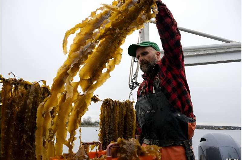 GreenWave: Pioneering US Seaweed Farming & Building a Sustainable Network