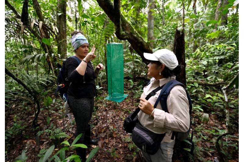 Butterflies as Climate Change Indicators in Ecuador s Amazon