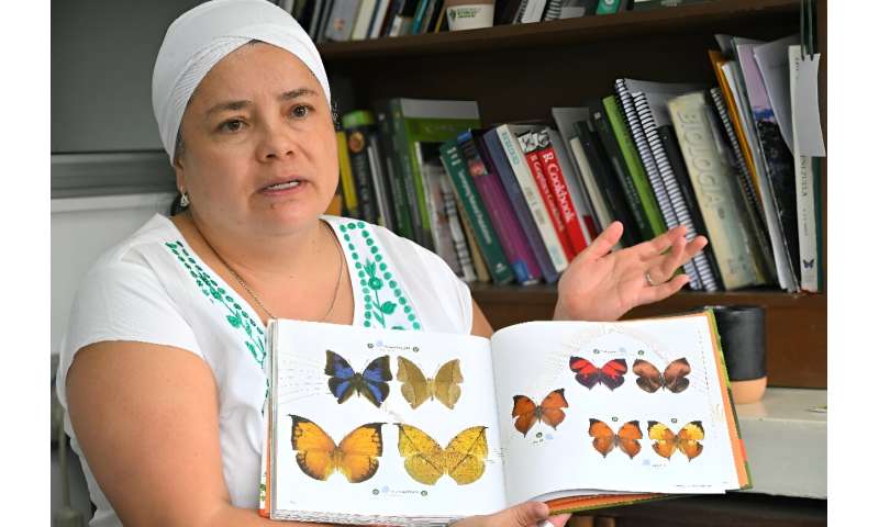 Butterflies as Climate Change Indicators in Ecuador s Amazon