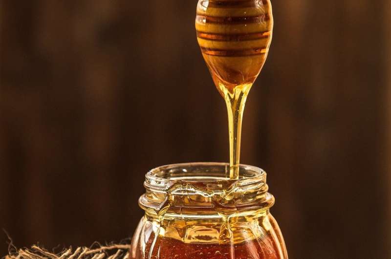 Montesinhos Honey: Tradition, Science & PDO Quality