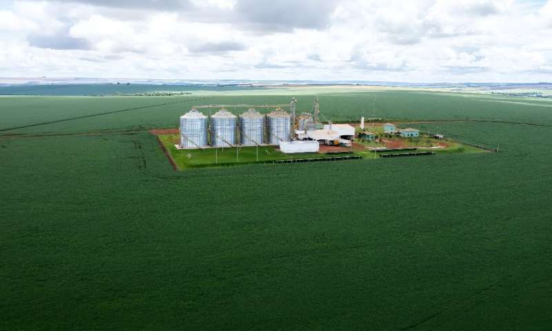 AI in Agriculture: Latin American Startups Revolutionizing Farming